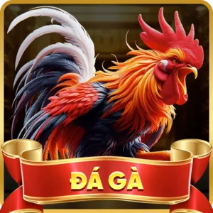 Dịch vụ hỗ trợ khách hàng 24/7 của Banca29 App