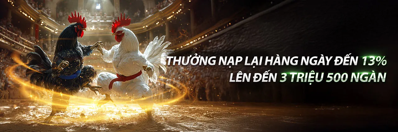 Đá Gà Trực Tuyến Hấp Dẫn trên banca29 app